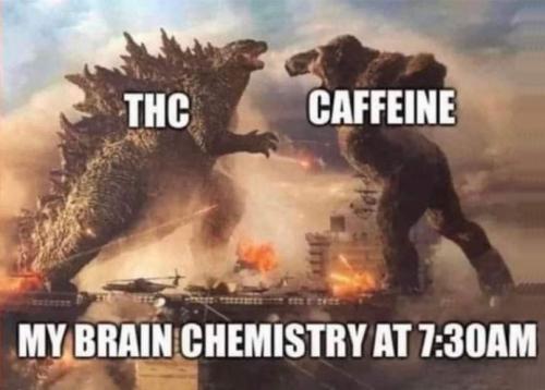 my brain chemistry at seventhirty am