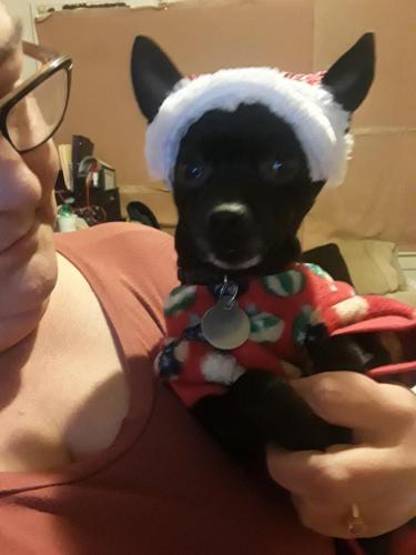 04:05:31 GMT-0500 (EST)