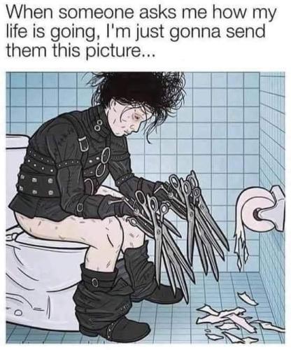 FB_IMG_1644431895688