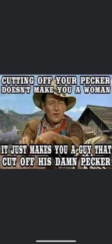 FB_IMG_1644785293352