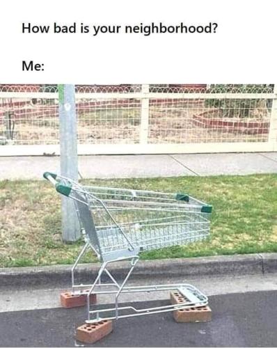 FB_IMG_1644387432281