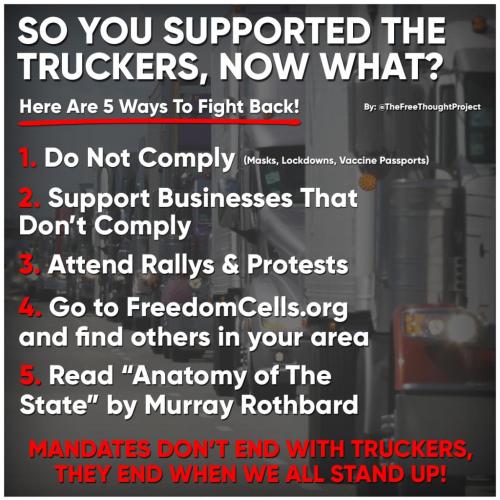 gwggewgwegfef_edited-1