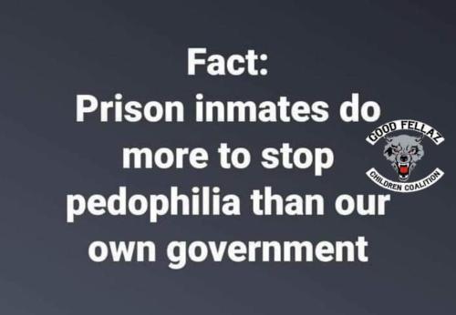 Pedos 1