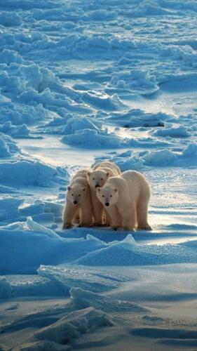 tumblr_e4c0ef28e4ee071fea702e607c62e4aa_60a218ee_640