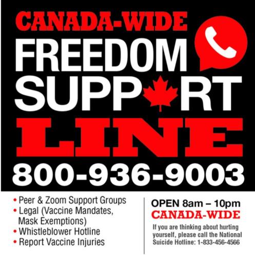 Screenshot_20220202-141154_Chrome