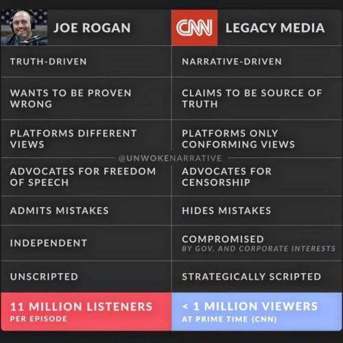 Rogan v CNN