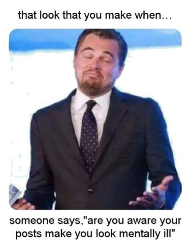 someone says are you aware your posts make you look mentally ill