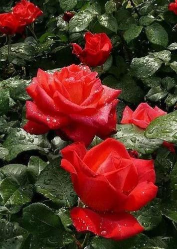 09:16:14 GMT-0600 (CST)