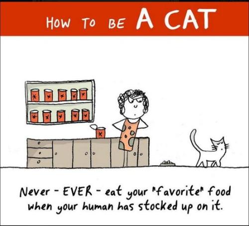 273012332_5339458422750205_960345982267109650_n