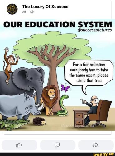 6e4dfdd675cd74d69fa02a37fd6018f53274aee80b8329cc1a3e62c1837d1ed4_1