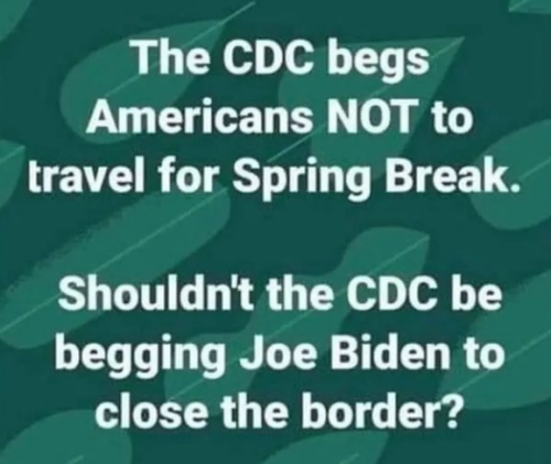 e08268b2648_3cd82342_500