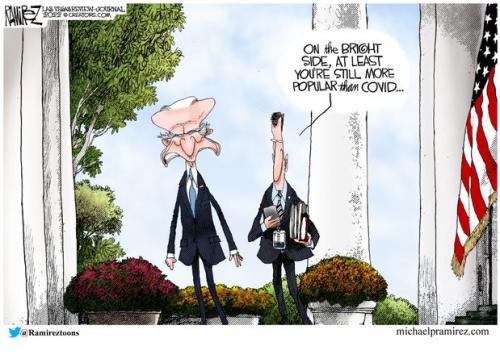 bidenmorepopularthancovid