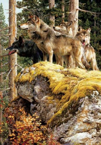 tumblr_c4d630a2deddd2712c99a4a2bf5c1999_f91876c3_540