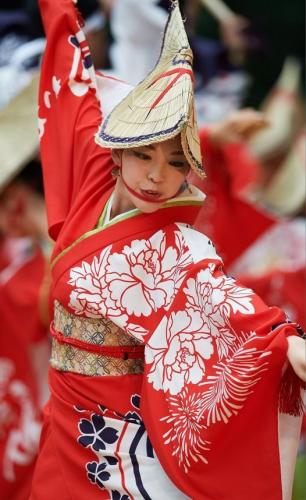 274011266_4847156185366813_84689349323159688_n