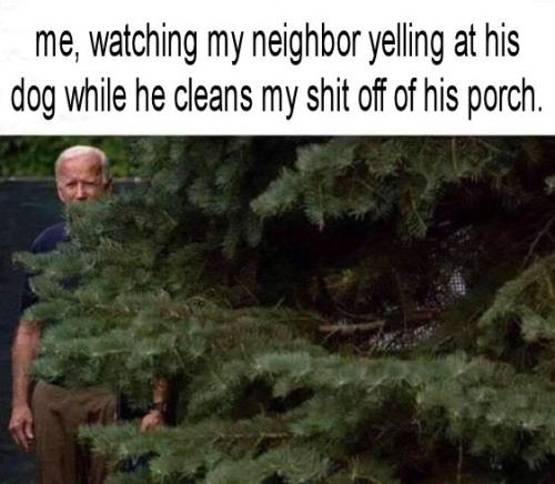 biden841
