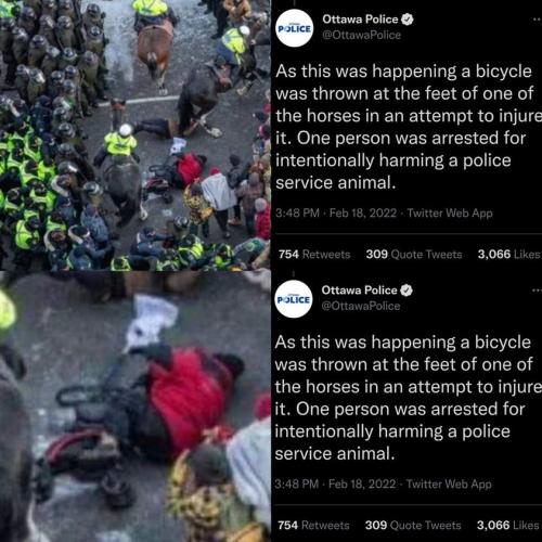 274147652_359491452663249_2566882471165228066_n