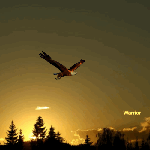 09:14:50 GMT-0600 (CST)