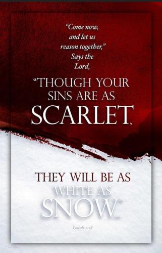 Screenshot_20220204-065435_DuckDuckGo