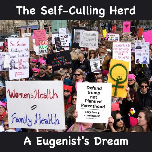 The Self-Culling Herd A Eugenicist's Dream - pro abortion protest usa