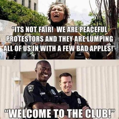 FB_IMG_1645263356038
