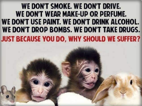 Screenshot_2022-02-09-02-54-49_kindlephoto-7596249134