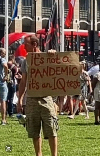 Not a pandemic, and IQ test