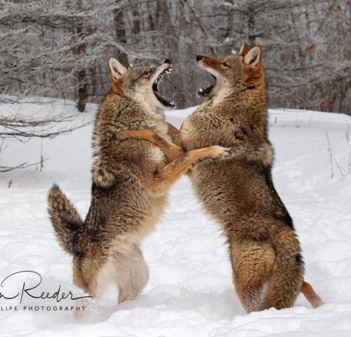 tumblr_074ea1f3997a3e20458c8aefa51374b4_f6b6b1af_1280