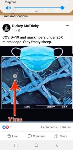 FB_IMG_1644870848621