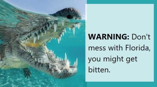 08:35:54 GMT-0500 (EST).image