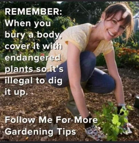 FB_IMG_1645727559756