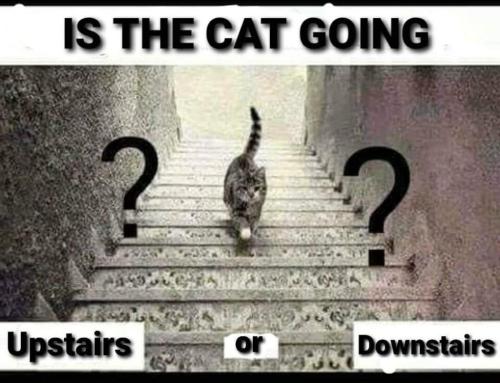 FB_IMG_1645384783874