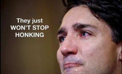 Screenshot_20220206-145129_YouTube