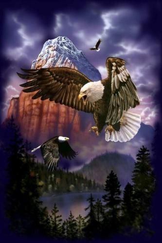 10:44:38 GMT-0600 (CST)