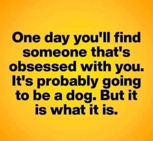 274081931_5043962505649774_8432761615347549032_n