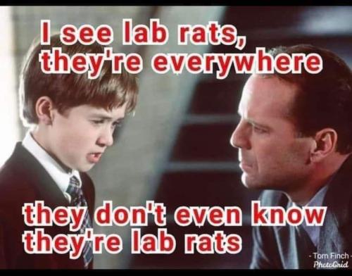 FB_IMG_1645998361202