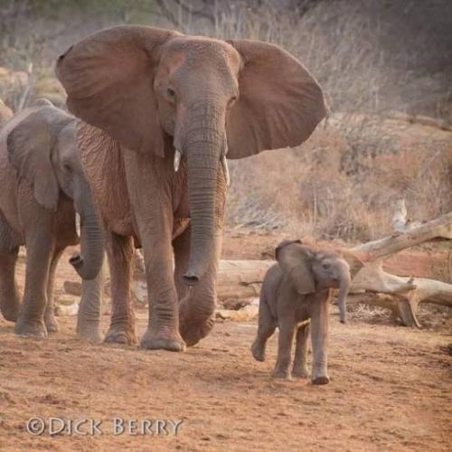 tumblr_d38757c667ccf680d372c1b944915bbd_ce35c49b_540