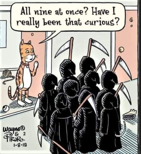 FB_IMG_1644771008862