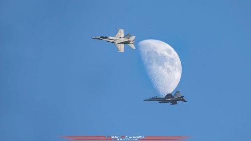 273679862_521971026164592_7767561173491389542_n