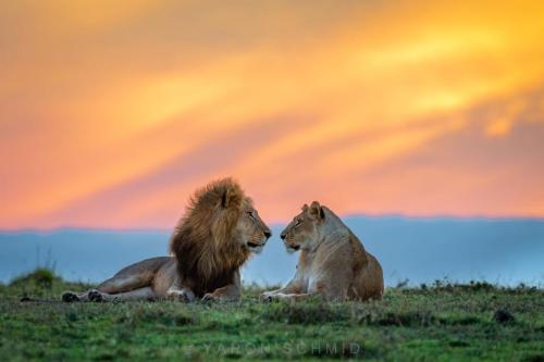 274039155_472635297644727_3759946397153247828_n