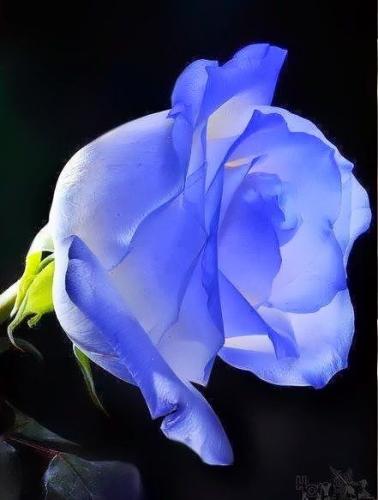 20:13:04 GMT-0600 (CST)