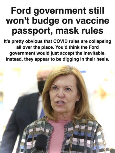 273696444_1559134147793642_3158899979682783145_n