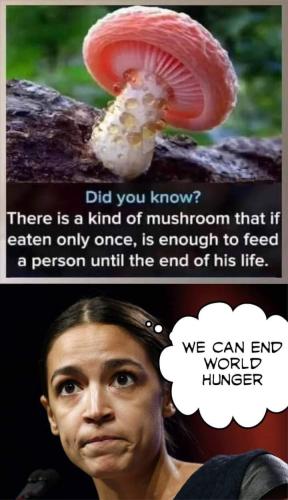 FB_IMG_1645460300490