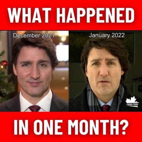 FB_IMG_1644076564826