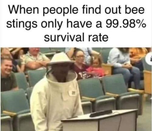 FB_IMG_1644960809650