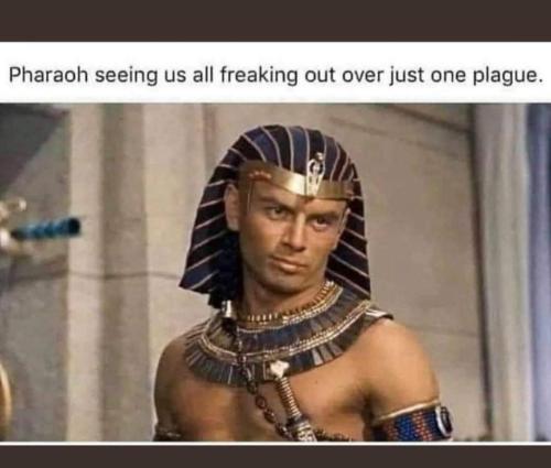 FB_IMG_1643782569915