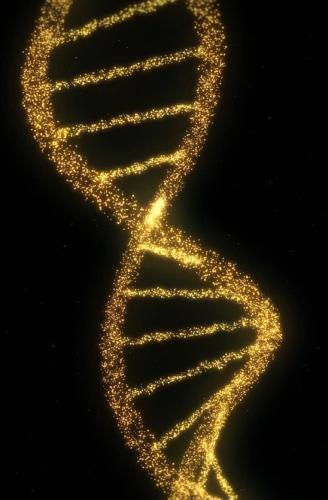 ,                                                                                                                                                                                                                          0 u