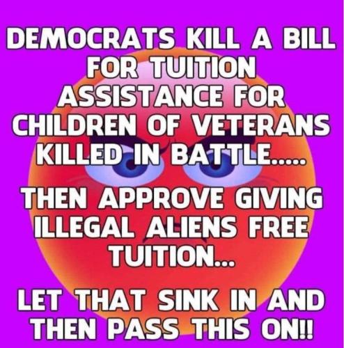 FB_IMG_1646067568466