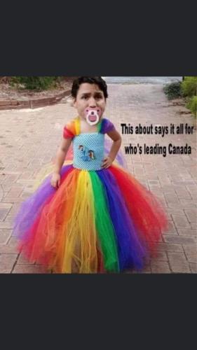 FB_IMG_1645120533968