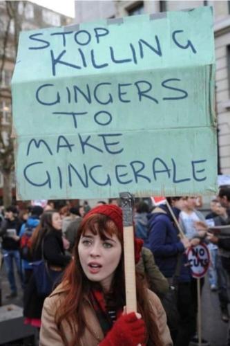 FB_IMG_1645166866533