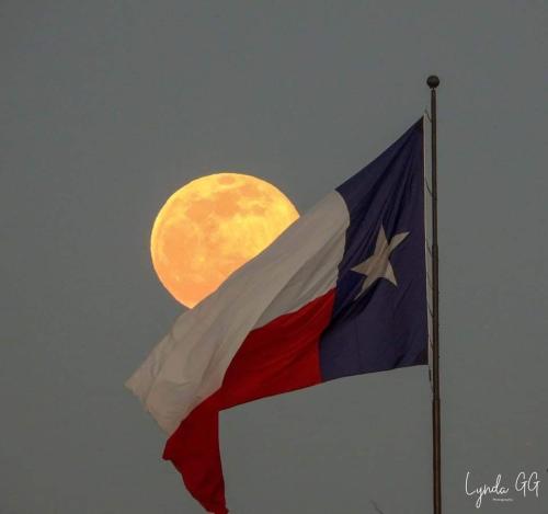 FB_IMG_1643967377191